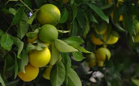 ���@�а��f(xi��)�h��7ƪ