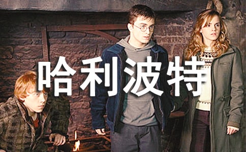 小學(xué)生哈利波特的觀后感