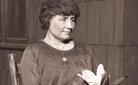 �����P�չ��£�ͨ��6ƪ��