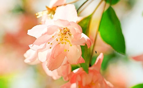 �����~���ġ��^��м���15ƪ