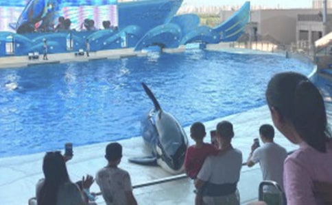 海洋公園之旅作文14篇