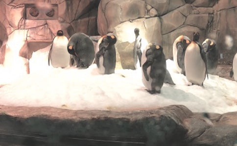 [���x]�κ��󹫈@����