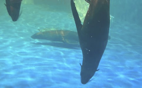 ��ۺ��󹫈@����(����15ƪ)