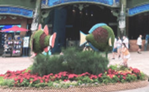 ����ۺ��󹫈@������