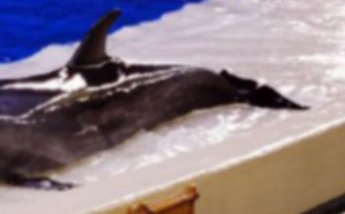 �ҌW��������С�W500������