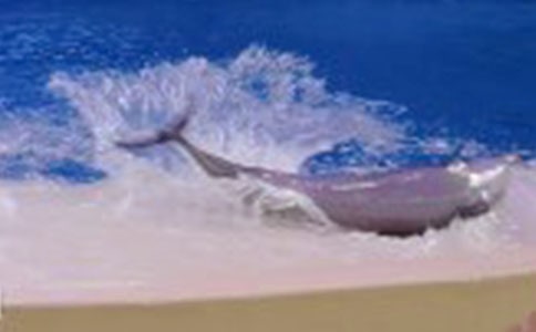 ���c������H�ܽ��|�����꼉(j��)����