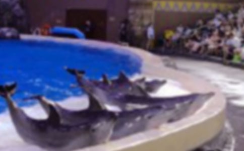 ���õĺ����f�������ģ�ͨ��25ƪ��