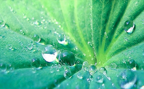 �x�����~���из���