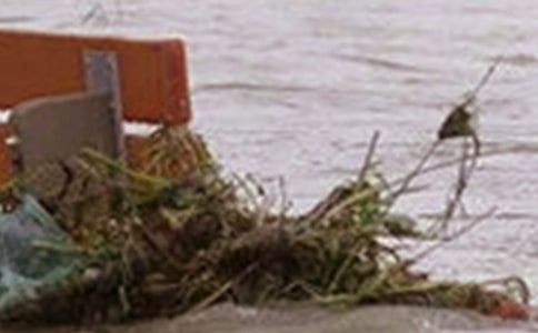 洪水作文600字(精選26篇)