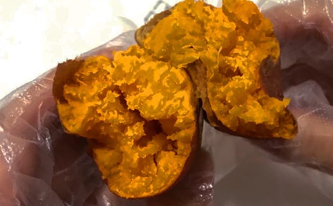 �����x���t�����꼉������ƪ