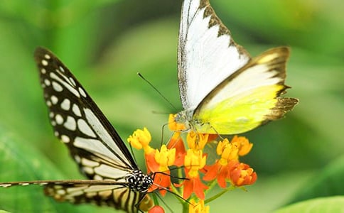 �����c�ҵĉ��������p