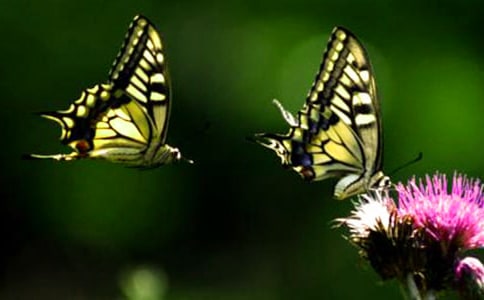 �������w������