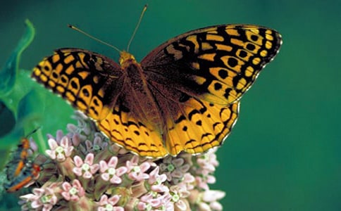 ���_(t��i)���ĺ����ȡ��ڶ��n�r(sh��)�Ľ̌W(xu��)�O(sh��)Ӌ(j��)