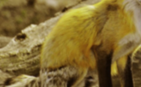 �˲���ĺ�؂�ְ��x���620�ַ���