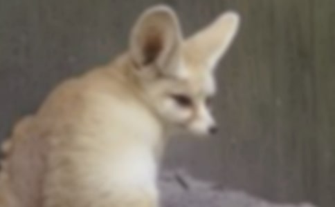 �茑(xi��)��؂���Z(y��)��