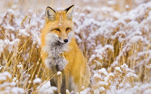 ���\��С��؂�x���