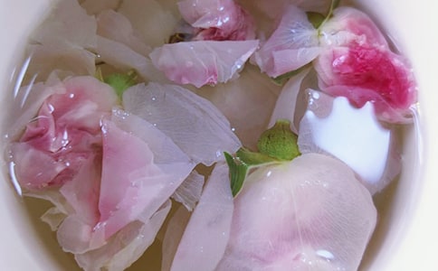 菊花茶作文合集15篇