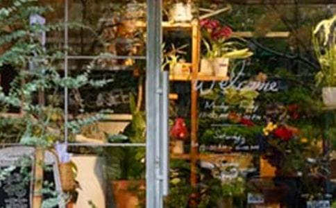 ��������300��4ƪ