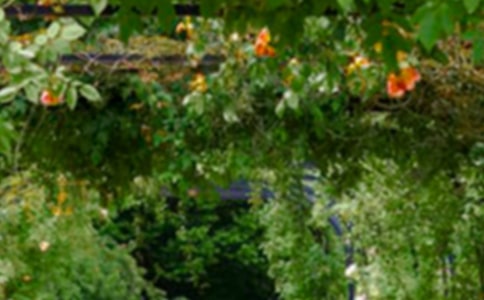 美麗的大花園作文(合集10篇)