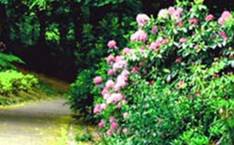 �����˵Ļ��@����(y��u)�|(zh��)�n��(y��u)��̌W(xu��)�O(sh��)Ӌģ�壨ͨ��6ƪ��