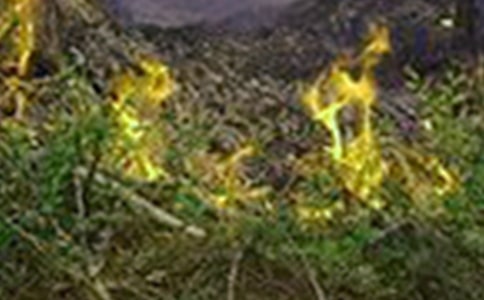 防火災(zāi)倡議書