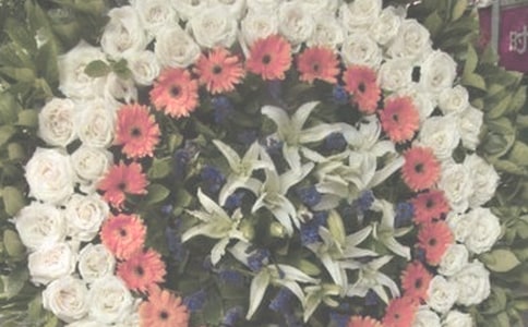 �`�ü��쵿�~17ƪ