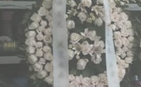 �����常�ĵ��~��ͨ��11ƪ��