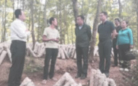 ��ȼo(j��)�z����Ӌ(j��)���ϼ�8ƪ