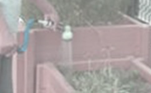 ����������300����ƪ