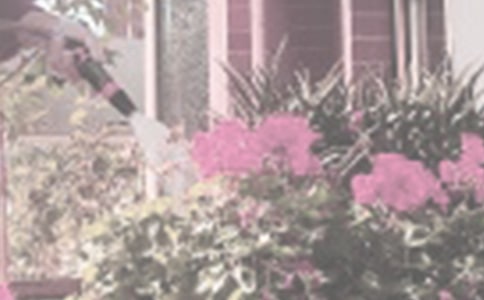 �������꼉����