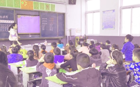 課文《假如》的教學(xué)反思