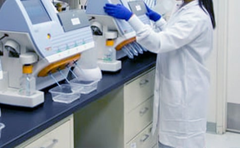 體音美教研組工作總結(jié)