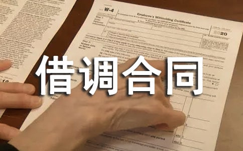 借調(diào)合同錦集5篇