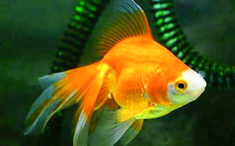 �茑С���~������400��