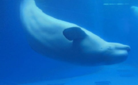 �L�~�������꼉����