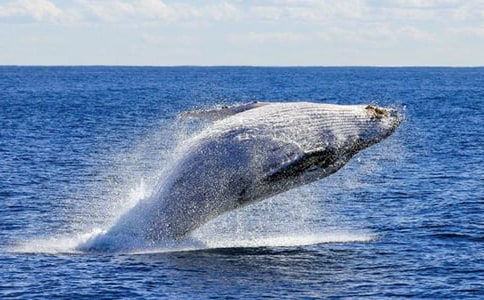 �����T���L�~������300����ƪ