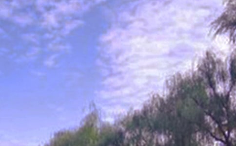 ���о�ɫ����(9ƪ)