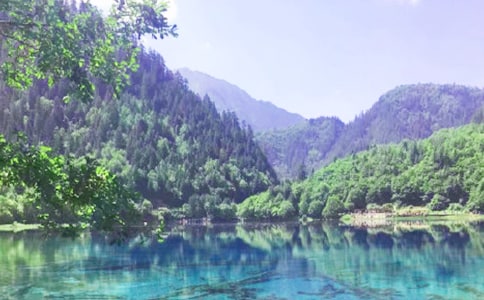 ��կ�Ͻ̌W(xu��)�O(sh��)Ӌ(j��)�����x20ƪ��