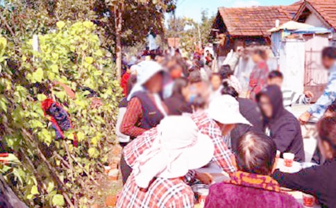 �����ϯ���o4ƪ