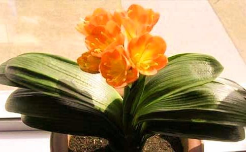 �����mһ�꼉����