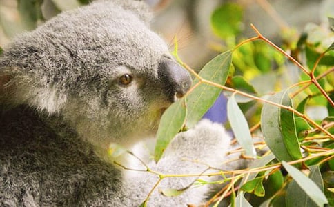 ������ð�U�^���