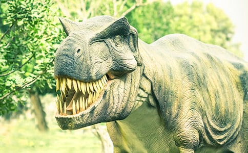 ����ͯ�����ٿ�ȫ�����x���