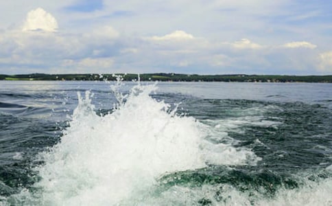 一朵美麗的浪花作文500字