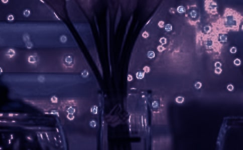 ���һ�����������������