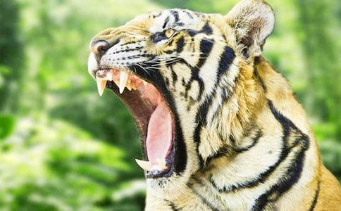 ���ϻ����ס����x���