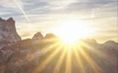 與黎明共舞五年級作文