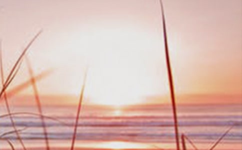 把黎明的美麗帶給曾失落的我作文匯編3篇