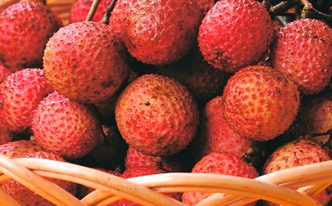 荔枝教學(xué)設(shè)計