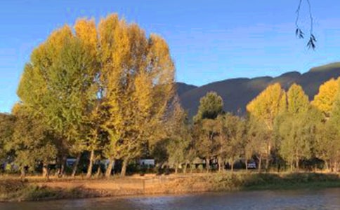 �P(gu��n)������������