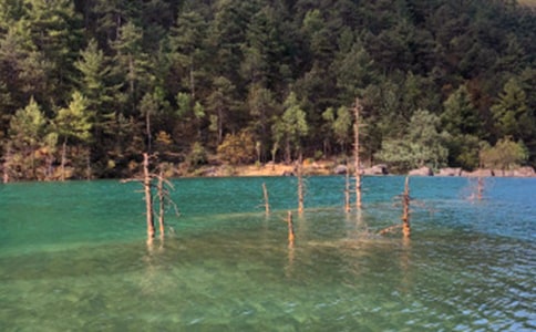 �����ų����꼉����